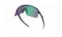 Oakley Sutro Lite solbriller - Matte Black - Prizm Black Jadelens
