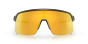 Oakley Sutro Lite solbriller - Prizm 24k Lenses,  Matte Carbon Frame